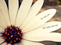 Image result for he loves me he loves me not